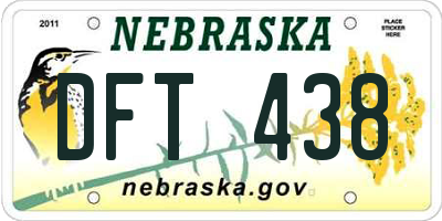 NE license plate DFT438