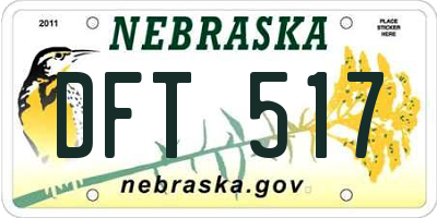 NE license plate DFT517