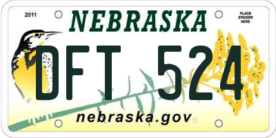 NE license plate DFT524