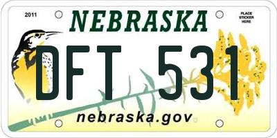 NE license plate DFT531