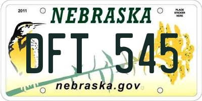 NE license plate DFT545