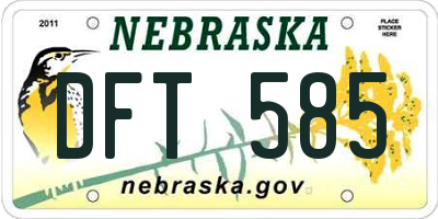 NE license plate DFT585