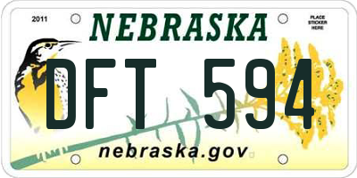 NE license plate DFT594