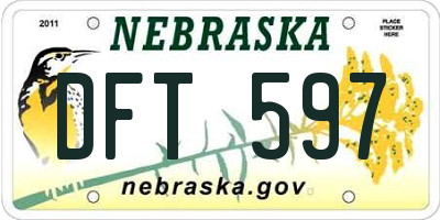 NE license plate DFT597