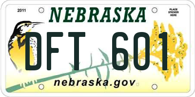 NE license plate DFT601