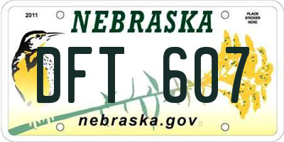 NE license plate DFT607