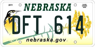 NE license plate DFT614