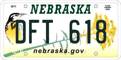NE license plate DFT618