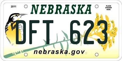 NE license plate DFT623