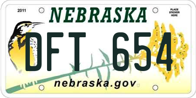 NE license plate DFT654