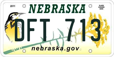 NE license plate DFT713