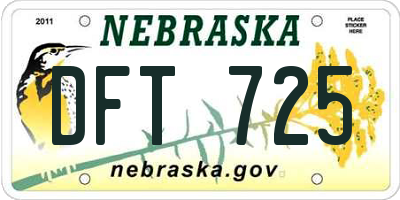 NE license plate DFT725