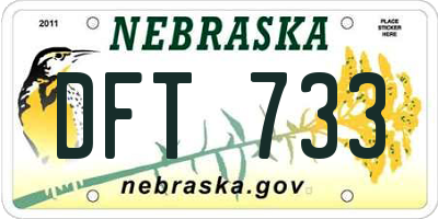 NE license plate DFT733