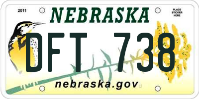 NE license plate DFT738