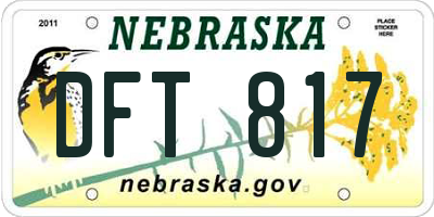 NE license plate DFT817