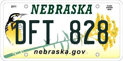 NE license plate DFT828