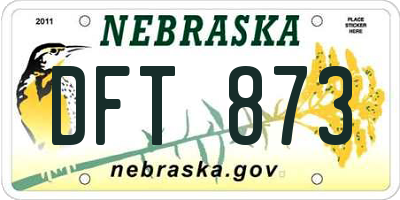NE license plate DFT873