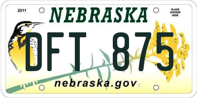 NE license plate DFT875