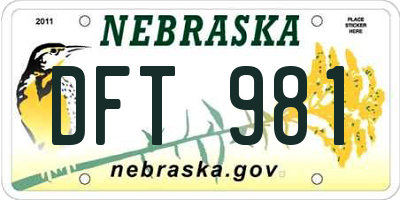 NE license plate DFT981