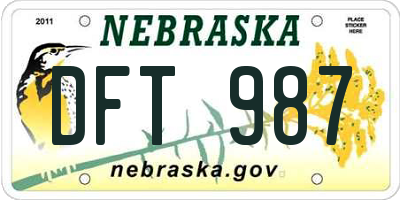 NE license plate DFT987