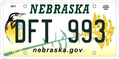 NE license plate DFT993
