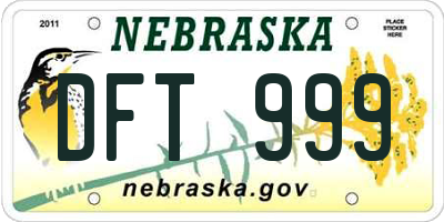 NE license plate DFT999