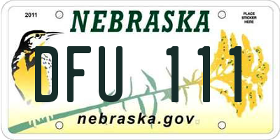 NE license plate DFU111