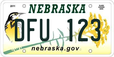 NE license plate DFU123