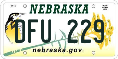 NE license plate DFU229