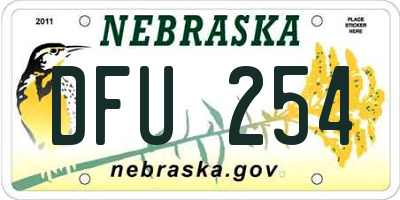 NE license plate DFU254