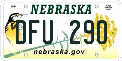 NE license plate DFU290