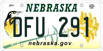 NE license plate DFU291