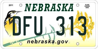 NE license plate DFU313