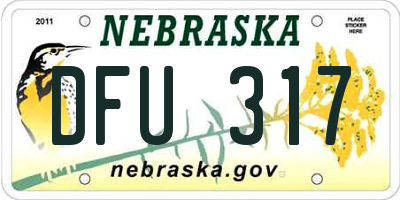 NE license plate DFU317