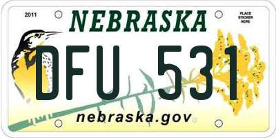 NE license plate DFU531