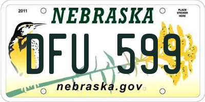 NE license plate DFU599