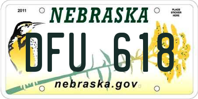NE license plate DFU618