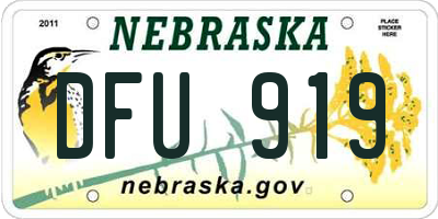 NE license plate DFU919