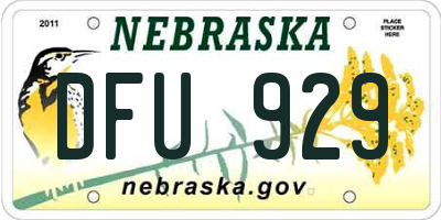 NE license plate DFU929