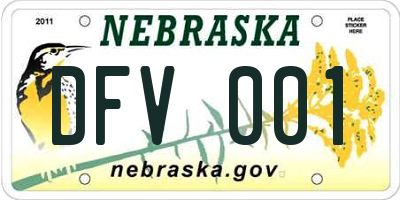 NE license plate DFV001