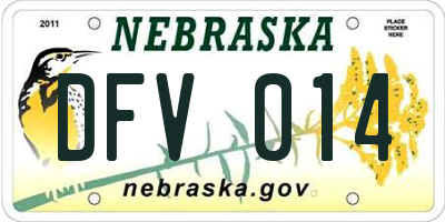 NE license plate DFV014