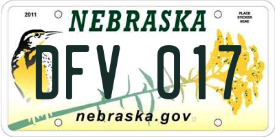 NE license plate DFV017
