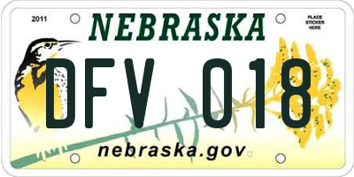 NE license plate DFV018