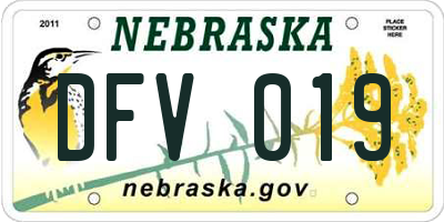 NE license plate DFV019