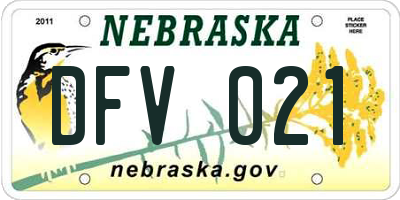NE license plate DFV021