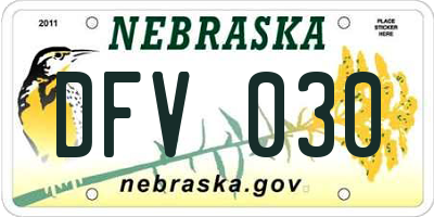 NE license plate DFV030