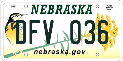 NE license plate DFV036