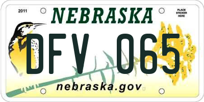 NE license plate DFV065