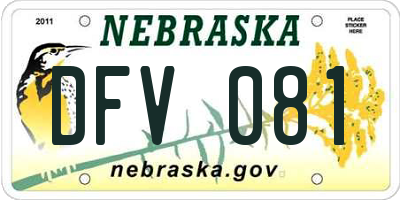 NE license plate DFV081