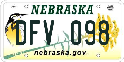 NE license plate DFV098